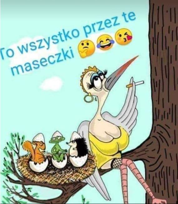 Maseczki